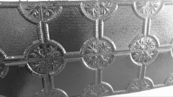 Temora - Image 3