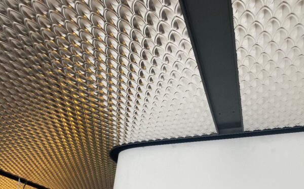 Fishscale - Image 3